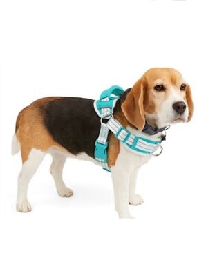EVERYYAY Easy On Training Dog Harness in Blue